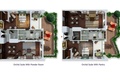 Orchid Suite