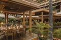 Cafe Tropical