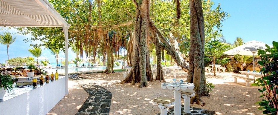 The Banyan Island Kitchen