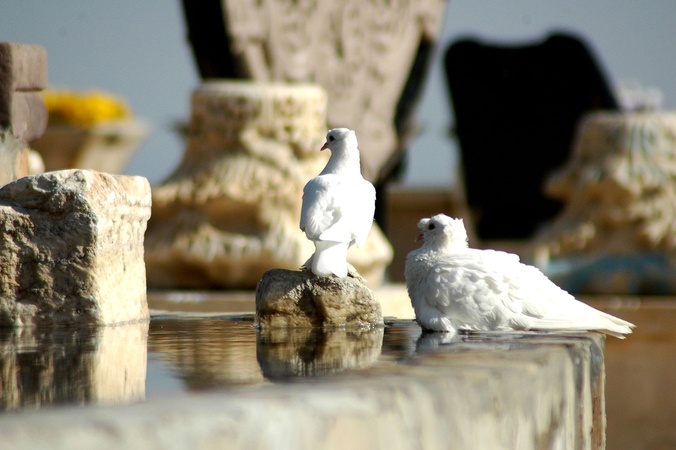 Museum Boutique Hotel Cappadocia