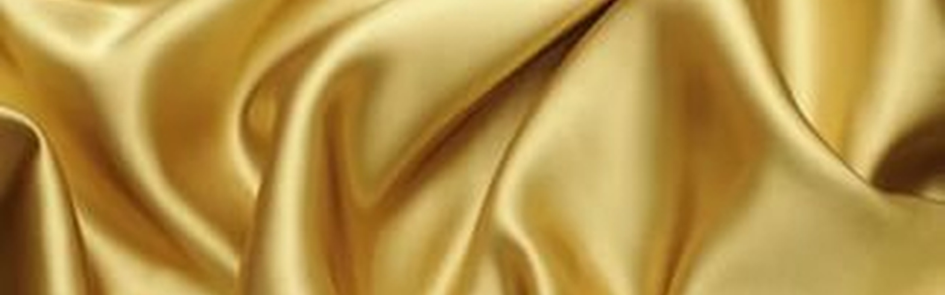 Ambassador Zlata Husa - Background