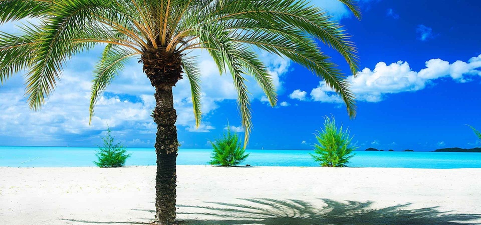 Cocos Hotel All Inclusive