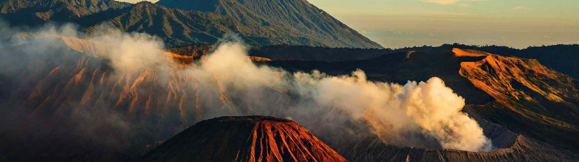 Pearl Tours & Travel - Background