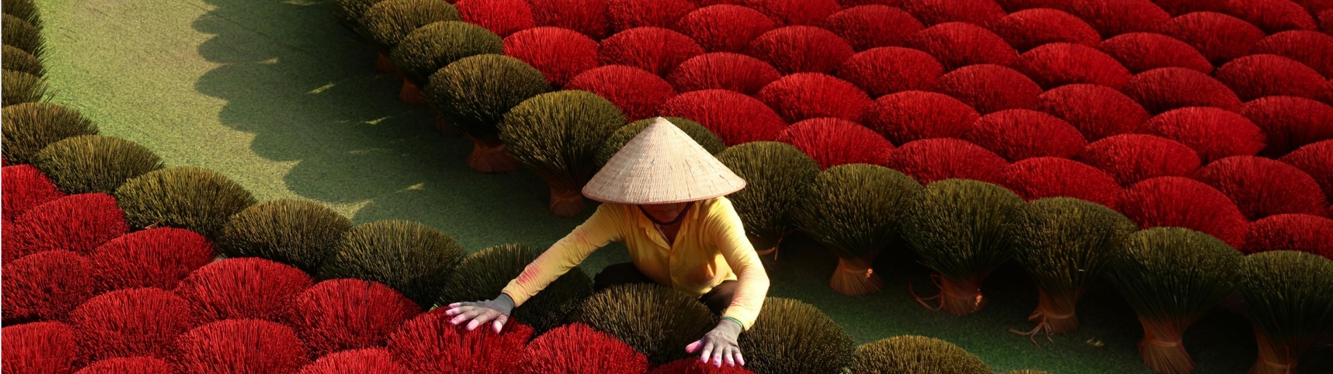 Radiance Vietnam - Background