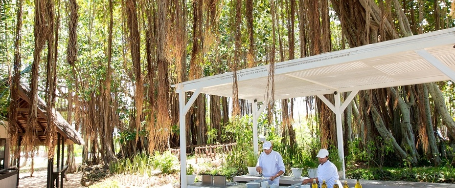 The Banyan Island Kitchen