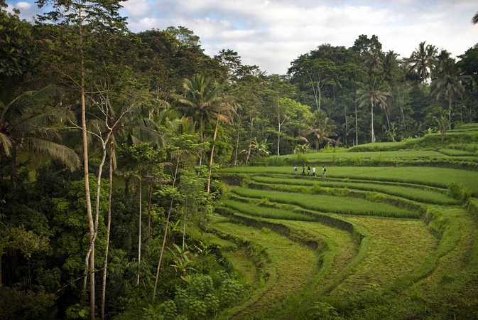 COMO Shambhala Estate