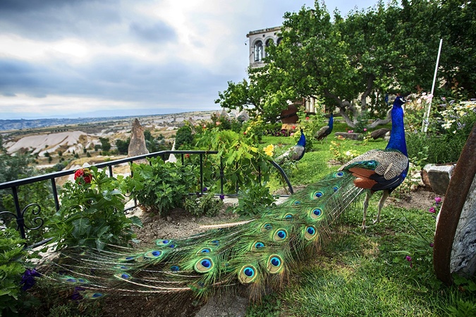 Museum Boutique Hotel Cappadocia