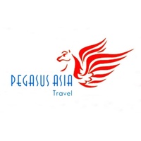Pegasus Asia - Logo