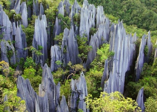 Taman Negara Mulu