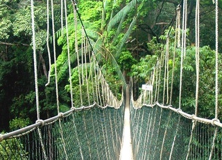 Taman Negara