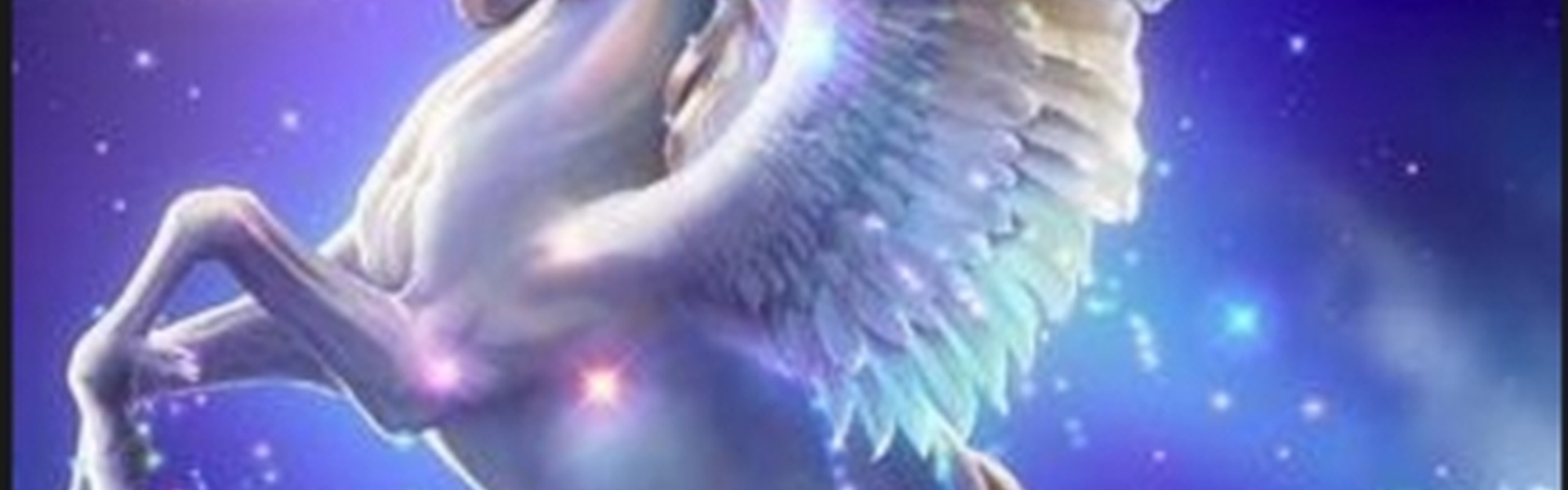 UNICORN CONCIERGE - Background