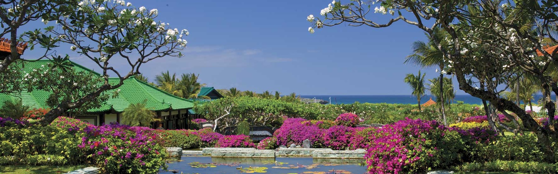 Grand Hyatt Bali - Background