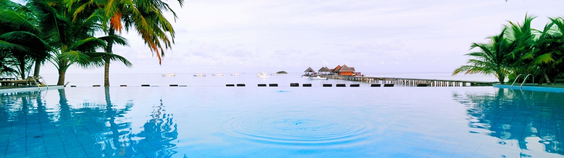 Exotic Voyage Co., Ltd. - Background