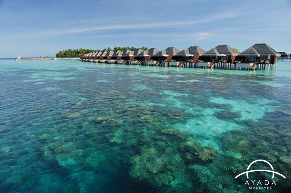 Ayada maldives сколько стоит